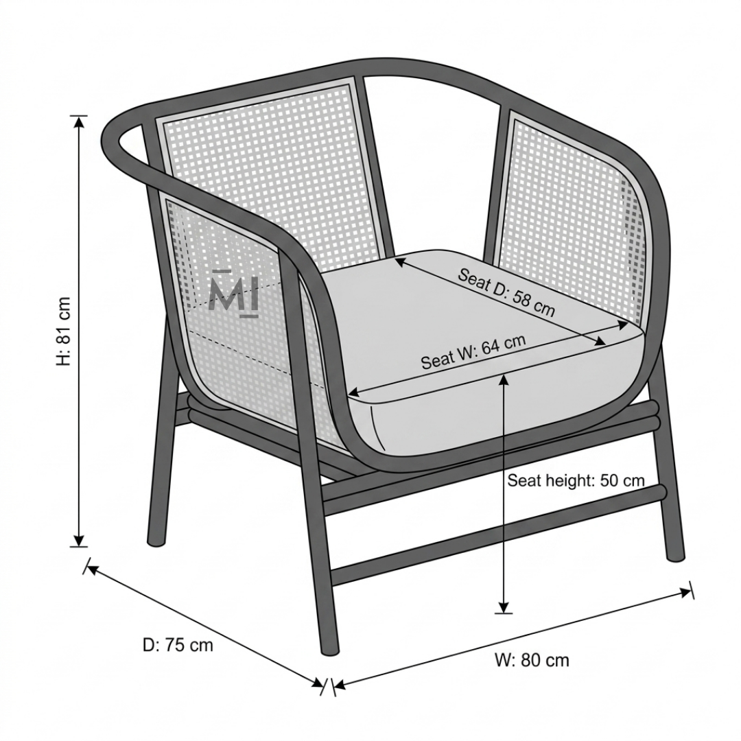 Modern Cane Lounge Chair with Black Metal Frame